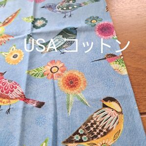 50×100 usaコットン カラフルな小鳥達 生地はぎれ トリ とりさん