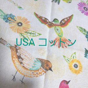 50×100 USAコットン ことり カラフル鳥 トリさん 生地はぎれ