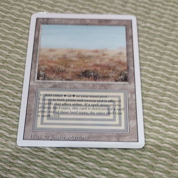 MTG Scrubland Revised 英語
