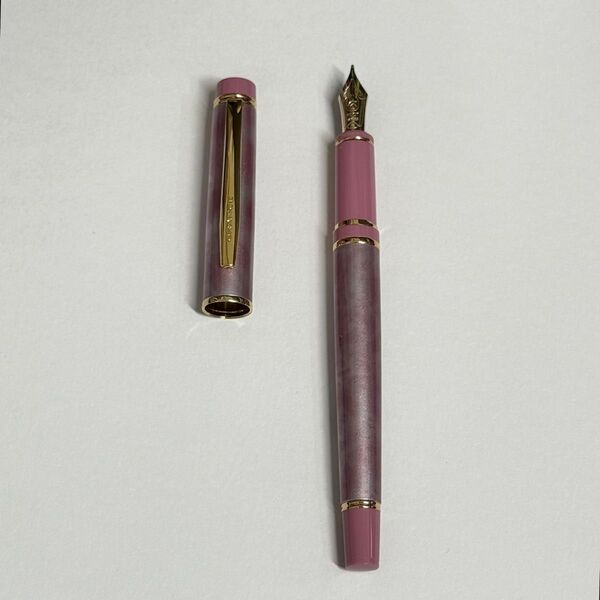 PILOT パイロット グランセ 万年筆 2022年 マーブルピンク M 中字 FGRC-2MR-MAPM