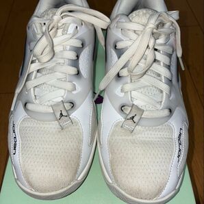 ジョーダン エアー シリーズ PF バスケットボールシューズ FZ2473-110