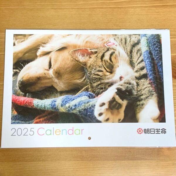 可愛いわんにゃんと12ヵ月 壁掛けカレンダー A4サイズ 2025 非売品 朝日生命 犬/イヌ 猫/ネコ/ねこ
