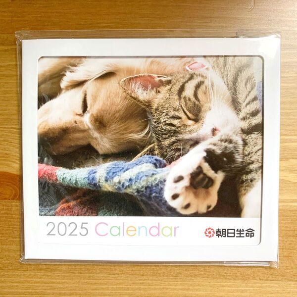 可愛いわんにゃんと12ヵ月 卓上カレンダー A4サイズ 2025 非売品 朝日生命 犬/イヌ 猫/ネコ/ねこ ノベルティ