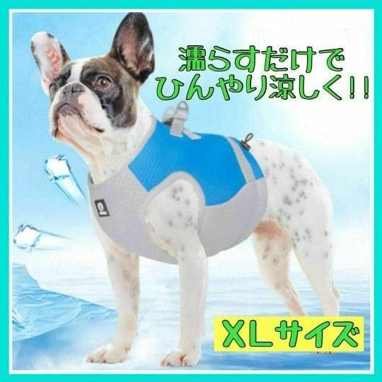 XLサイズ 犬用 クールベスト ひんやり 冷却 熱中症対策 ペット ハーネス 新品未使用 お散歩 冷感 熱中症対策 暑さ対策