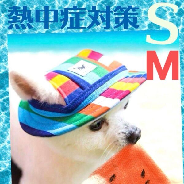 【新品未使用】犬猫帽子 熱中症対策 S Mサイズ ペット用帽子 マルチカラー 散歩 紫外線対策 白内障予防 男の子 女の子
