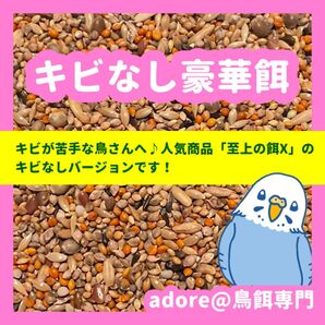 キビなし豪華餌 800g
