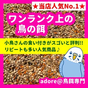【1番人気商品】ワンランク上の鳥の餌 1500g