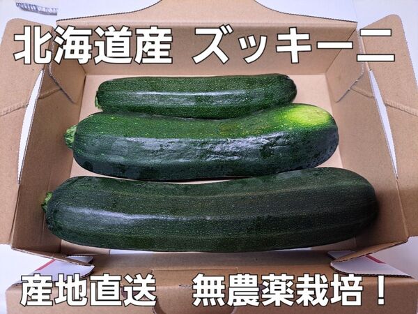 約1キロ 北海道産 朝採れ ズッキーニ 産地直送 無農薬栽培!