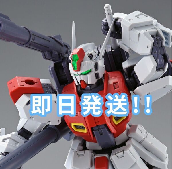 MG 1/100 F80 ガンレイド