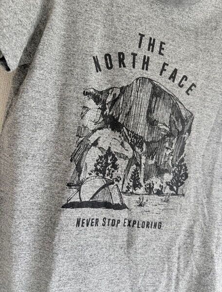 THE NORTH FACE L 半袖Tシャツ
