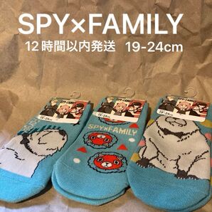 靴下 SPY×FAMILY 3足セット 新品タグ付 12時間以内匿名配送 現品限り スパイファミリー ショート丈 ボンド ソックス
