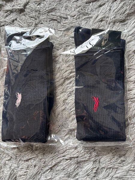 靴下 新品 ポロ ハイソックス 22-24 POLO