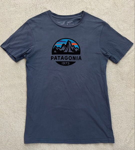 パタゴニアPatagoniaTシャツブルーグレーS(日本サイズM相当)アメリカ製オーガニックコットン100% 半袖Tシャツ