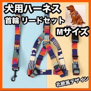 犬用ハーネス M サイズ 首輪 リードセット 北欧風デザイン 小型犬 中型犬 オシャレ 3点セット かわいい お得