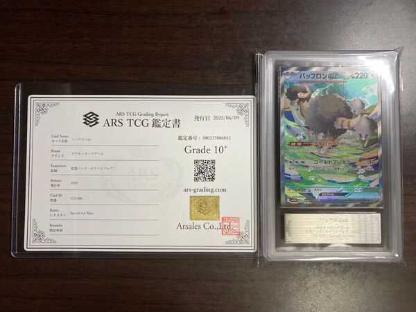 【ARS鑑定10+】バッフロンex SAR ポケモンカード 172/086 ホワイトフレア 鑑定書付き PSA10 ARS10+