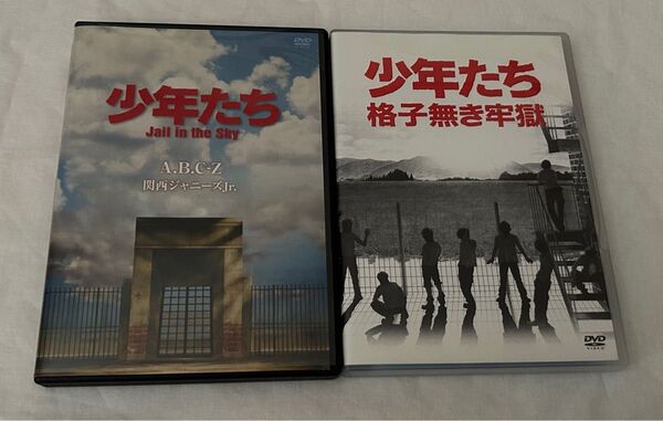 少年たち 格子無き牢獄 DVD
