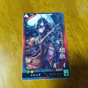 三国志大戦 趙娥 第6弾