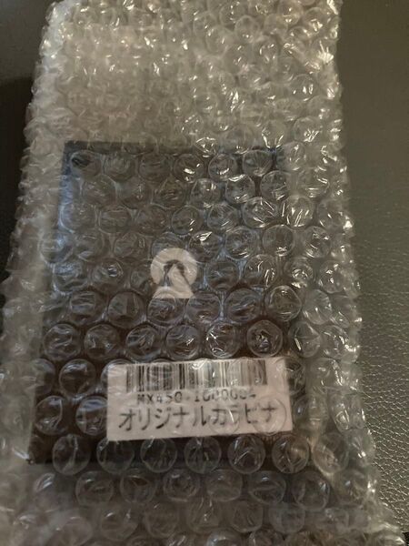 DUSTROOM年間会員特典 カラビナ