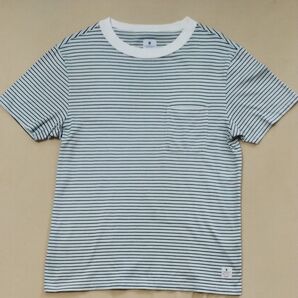 R.NEWBOLD ボーダーTシャツ レディース Mサイズ
