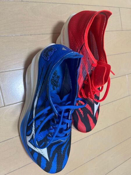 ウエーブリベリオンプロ MIZUNO