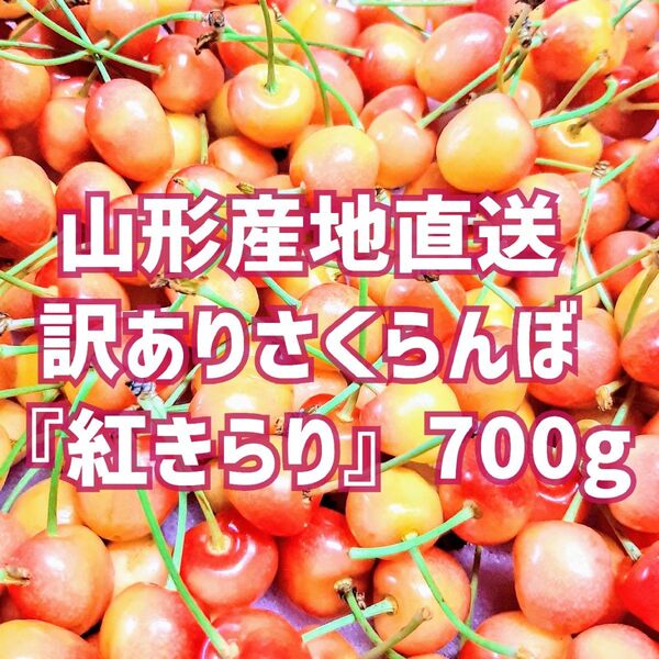 加工用に 訳ありさくらんぼ「紅きらり」700g 山形産地直送 除草剤不使用