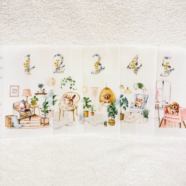 cat&dog No.1〜No.5 A6 saving リフィルバインダー貯金韓国