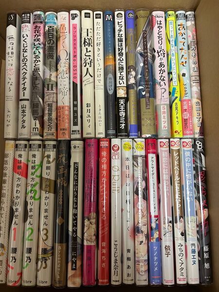 BLコミック 32冊まとめ売り