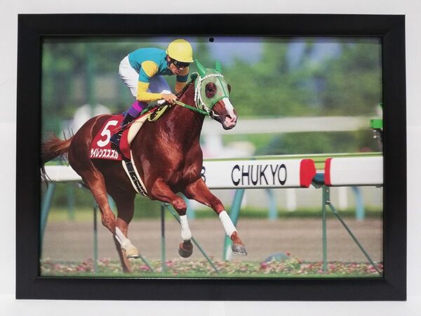 競馬.サイレンススズカ.パネル.JRA-60th