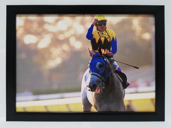 競馬.クロフネ.パネル.JRA-60th