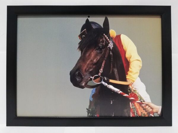 競馬.マルゼンスキー.パネル.JRA-60th