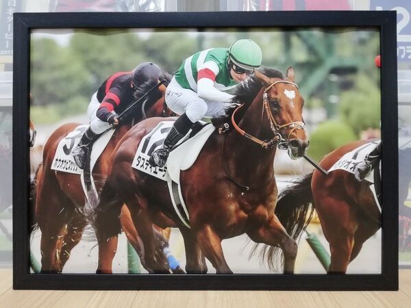 競馬.タスティエーラ.パネル.競馬ブック.日本ダービー