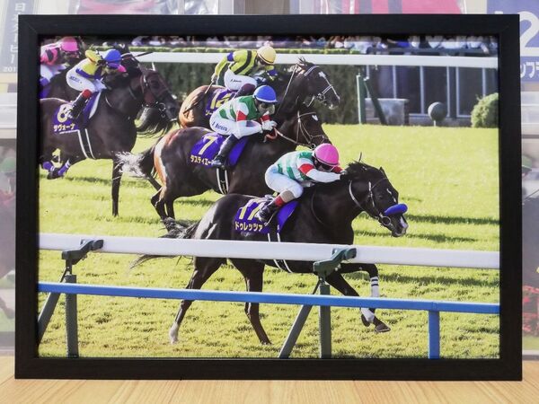 競馬.ドゥレッツァ.パネル.競馬ブック.菊花賞