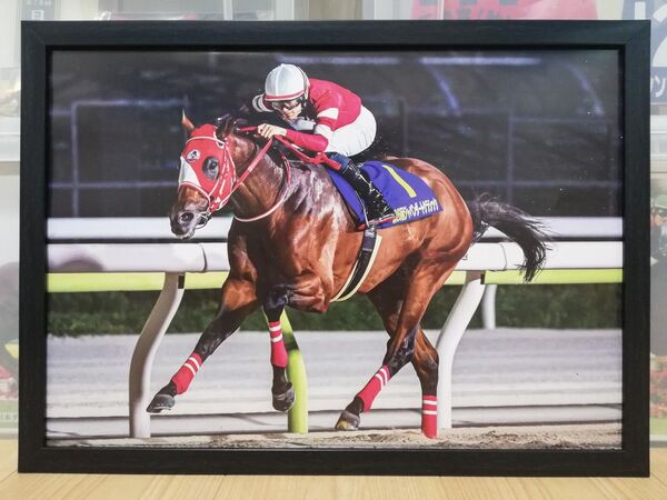 競馬.フォーエバーヤング.パネル.競馬ブック.ジャパンダートクラシック