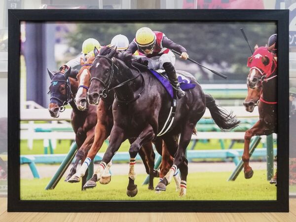 競馬.ルガル.パネル.競馬ブック.スプリンターズステークス