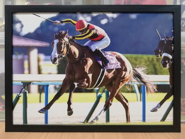 競馬.チェルヴィニア.パネル.競馬ブック.秋華賞
