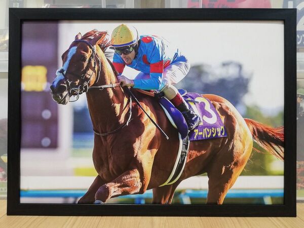 競馬.アーバンシック.パネル.競馬ブック.菊花賞