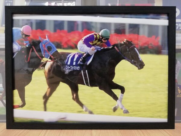 競馬.スイープトウショウ.パネル.競馬ブック.秋華賞