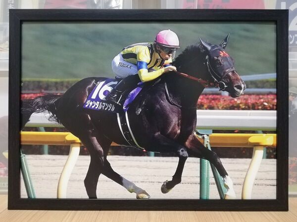 競馬.ジャンタルマンタル.パネル.日刊競馬.NHKマイルカップ