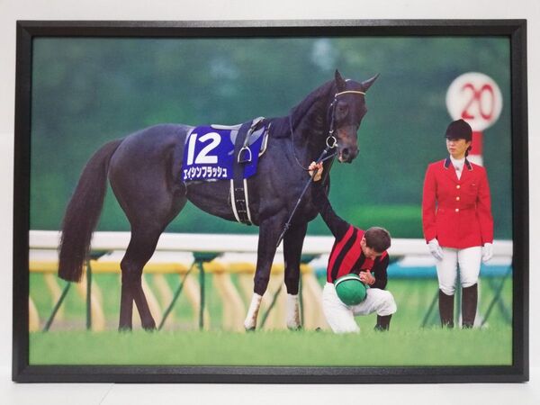 競馬.エイシンフラッシュ.パネル.平成の名場面