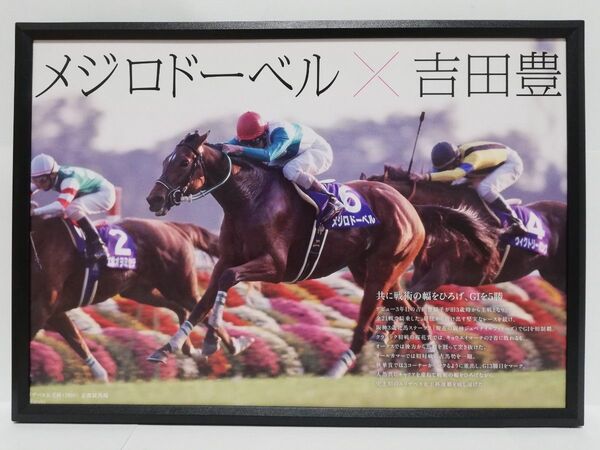 競馬.メジロドーベル.パネル.心に刻まれた名コンビ