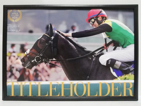 競馬.タイトルホルダー.パネル.愛すべきスターホースたち