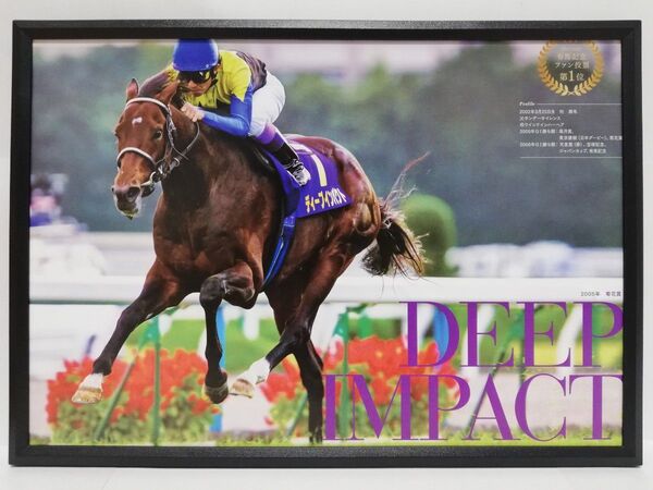競馬.ディープインパクト.パネル.愛すべきスターホースたち