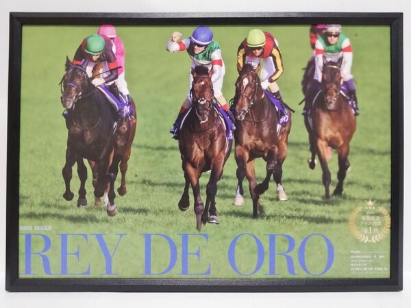 競馬.レイデオロ.パネル.愛すべきスターホースたち