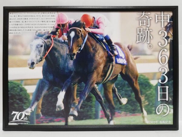 競馬.トウカイテイオー.パネル.史上唯一