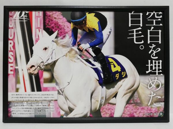 競馬.ソダシ.パネル.史上唯一