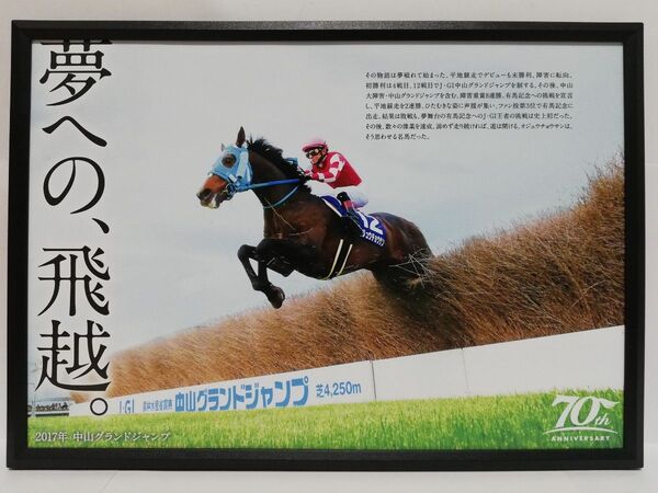 競馬.オジュウチョウサン.パネル.史上唯一