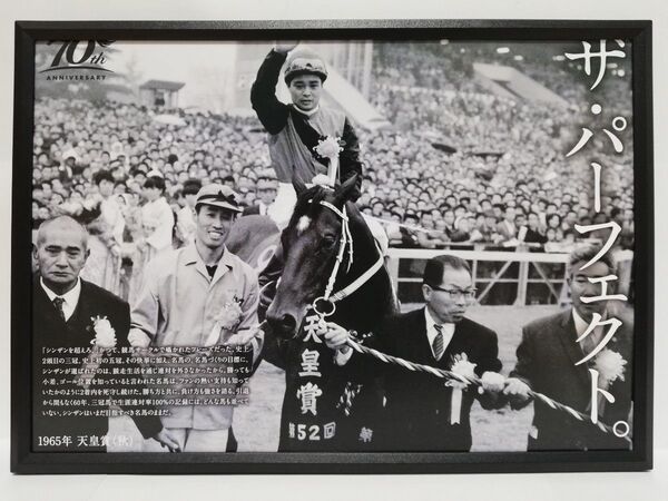 競馬.シンザン.パネル.史上唯一