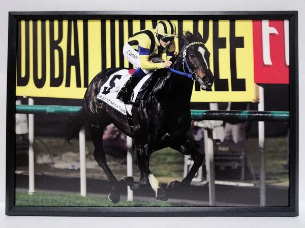 競馬.ハーツクライ.パネル.JAPAN SPIRIT