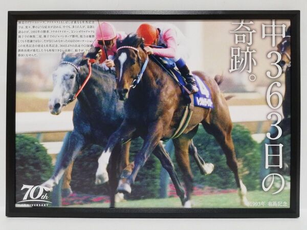 競馬.トウカイテイオー.パネル.史上唯一