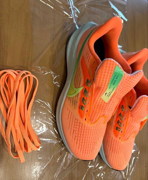 NIKE エア ズーム ペガサス 39